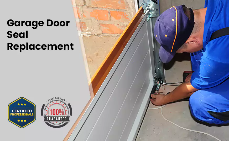 Garage Door Seal Replacement in Las Vegas, NV